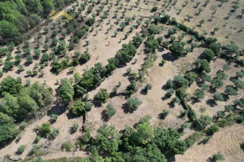 Quintinha  Venda em Freixial e Juncal do Campo,Castelo Branco