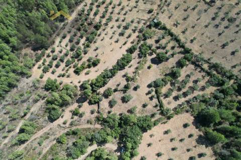 Quintinha  Venda em Freixial e Juncal do Campo,Castelo Branco