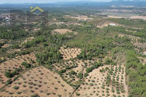 Quintinha  Venda em Freixial e Juncal do Campo,Castelo Branco