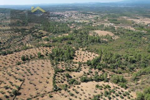 Quintinha  Venda em Freixial e Juncal do Campo,Castelo Branco