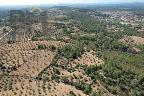 Quintinha  Venda em Freixial e Juncal do Campo,Castelo Branco