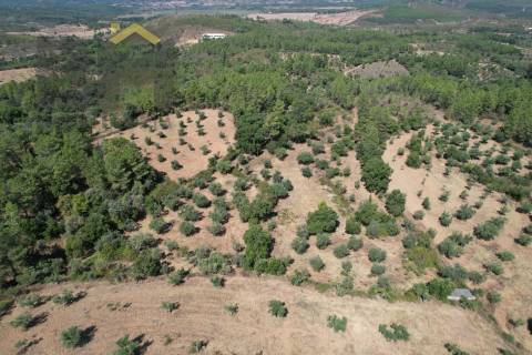 Quintinha  Venda em Freixial e Juncal do Campo,Castelo Branco