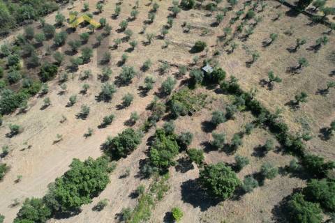 Quintinha  Venda em Freixial e Juncal do Campo,Castelo Branco
