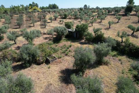 Quintinha  Venda em Freixial e Juncal do Campo,Castelo Branco