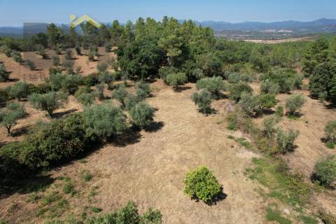 Quintinha  Venda em Freixial e Juncal do Campo,Castelo Branco