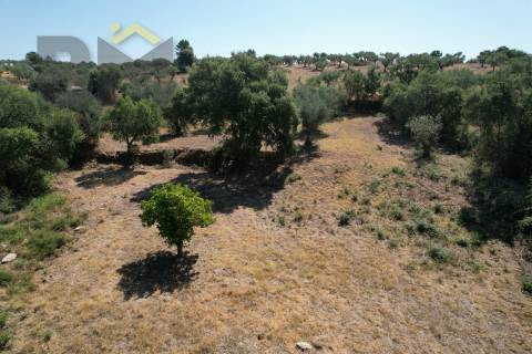 Quintinha  Venda em Freixial e Juncal do Campo,Castelo Branco