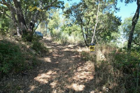 Quintinha  Venda em Freixial e Juncal do Campo,Castelo Branco
