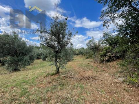 Quintinha  Venda em Freixial e Juncal do Campo,Castelo Branco