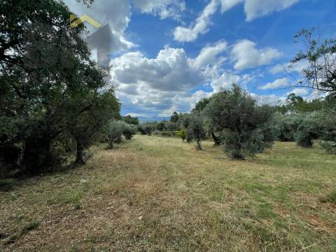 Quintinha  Venda em Freixial e Juncal do Campo,Castelo Branco