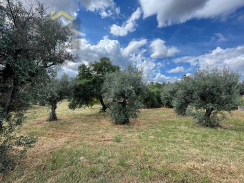 Quintinha  Venda em Freixial e Juncal do Campo,Castelo Branco