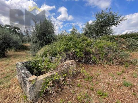 Quintinha  Venda em Freixial e Juncal do Campo,Castelo Branco