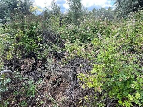 Quintinha  Venda em Freixial e Juncal do Campo,Castelo Branco