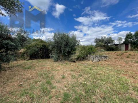 Quintinha  Venda em Freixial e Juncal do Campo,Castelo Branco