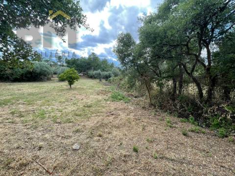 Quintinha  Venda em Freixial e Juncal do Campo,Castelo Branco