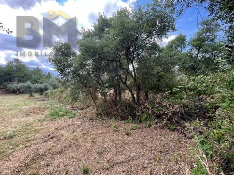 Quintinha  Venda em Freixial e Juncal do Campo,Castelo Branco