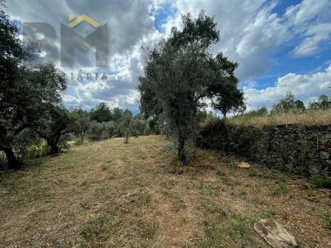 Quintinha  Venda em Freixial e Juncal do Campo,Castelo Branco