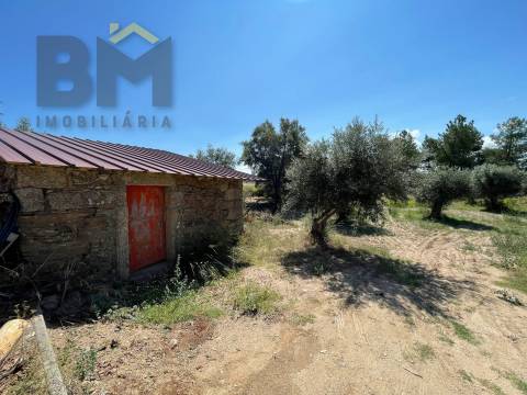 Quintinha  Venda em Freixial e Juncal do Campo,Castelo Branco