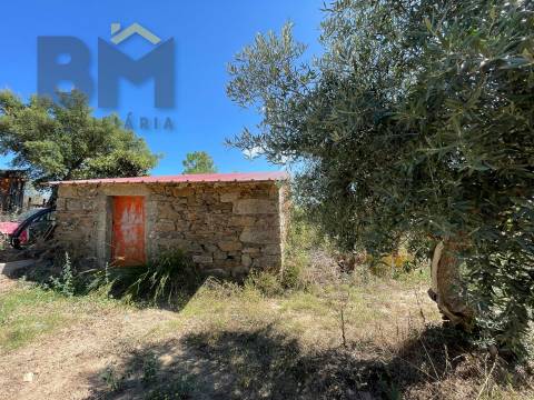 Quintinha  Venda em Freixial e Juncal do Campo,Castelo Branco