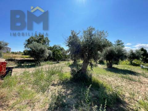 Quintinha  Venda em Freixial e Juncal do Campo,Castelo Branco