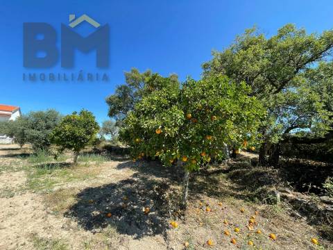 Quintinha  Venda em Freixial e Juncal do Campo,Castelo Branco