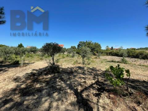 Quintinha  Venda em Freixial e Juncal do Campo,Castelo Branco