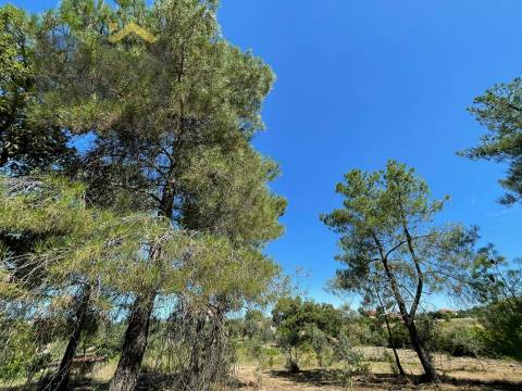 Quintinha  Venda em Freixial e Juncal do Campo,Castelo Branco