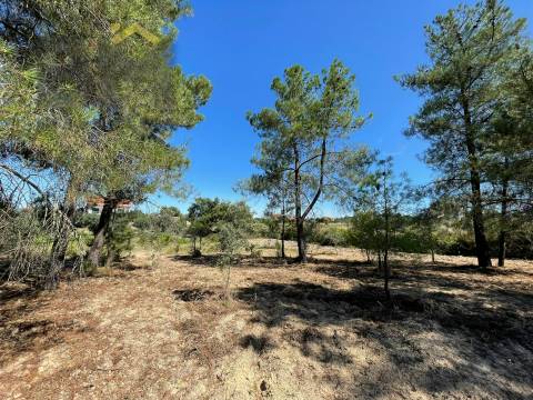 Quintinha  Venda em Freixial e Juncal do Campo,Castelo Branco