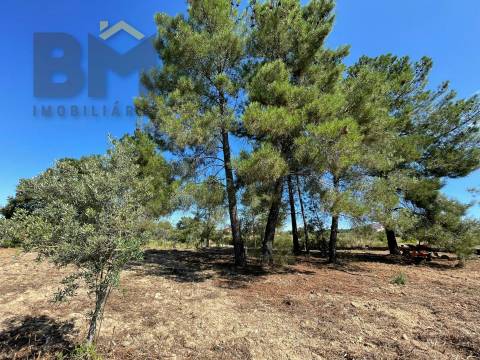 Quintinha  Venda em Freixial e Juncal do Campo,Castelo Branco