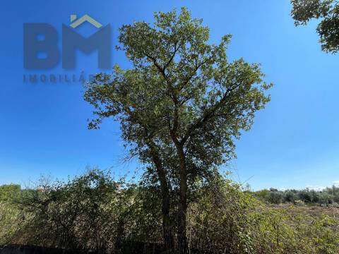 Quintinha  Venda em Freixial e Juncal do Campo,Castelo Branco
