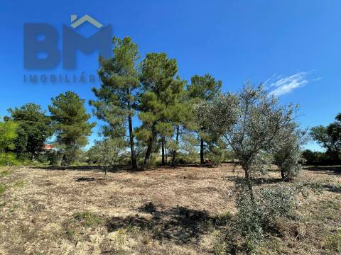 Quintinha  Venda em Freixial e Juncal do Campo,Castelo Branco