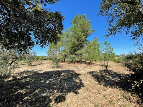Quintinha  Venda em Freixial e Juncal do Campo,Castelo Branco