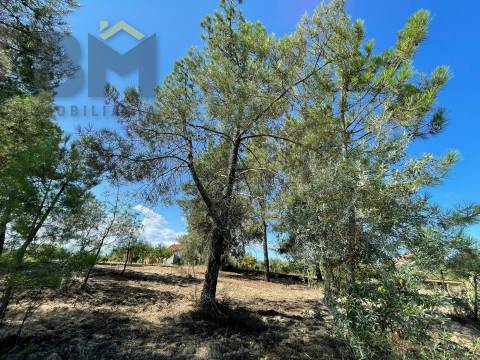 Quintinha  Venda em Freixial e Juncal do Campo,Castelo Branco