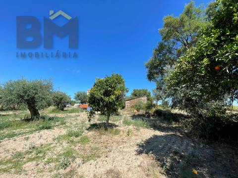 Quintinha  Venda em Freixial e Juncal do Campo,Castelo Branco