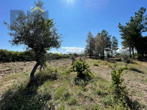 Quintinha  Venda em Freixial e Juncal do Campo,Castelo Branco