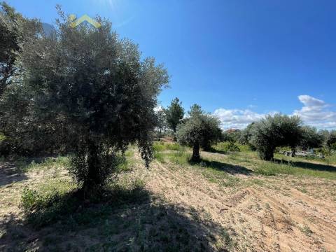 Quintinha  Venda em Freixial e Juncal do Campo,Castelo Branco