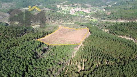 Terreno Rústico  Venda em São Vicente da Beira,Castelo Branco