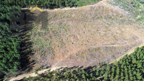 Terreno Rústico  Venda em São Vicente da Beira,Castelo Branco