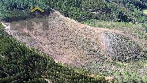 Terreno Rústico  Venda em São Vicente da Beira,Castelo Branco