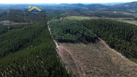 Terreno Rústico  Venda em São Vicente da Beira,Castelo Branco