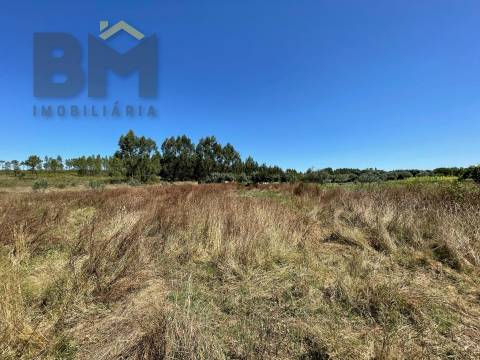 Terreno Rústico  Venda em Freixial e Juncal do Campo,Castelo Branco