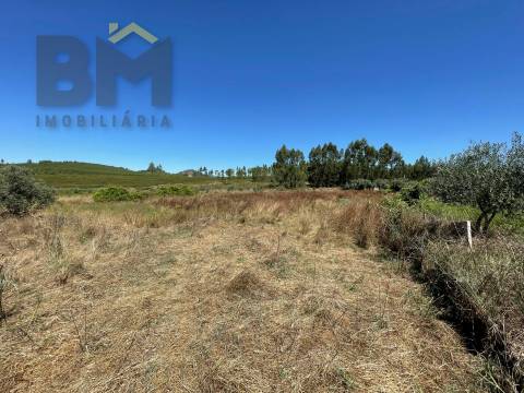 Terreno Rústico  Venda em Freixial e Juncal do Campo,Castelo Branco