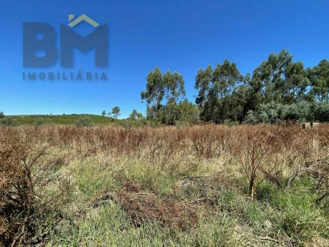 Terreno Rústico  Venda em Freixial e Juncal do Campo,Castelo Branco