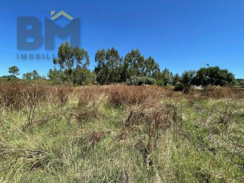 Terreno Rústico  Venda em Freixial e Juncal do Campo,Castelo Branco