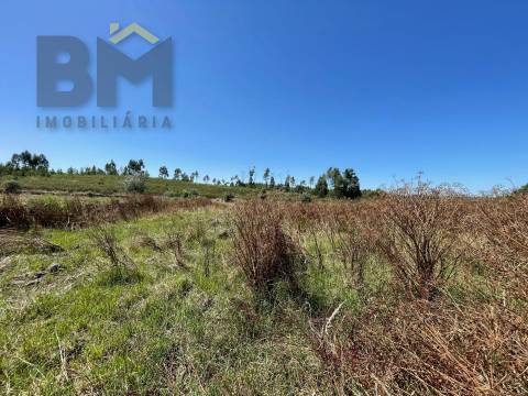 Terreno Rústico  Venda em Freixial e Juncal do Campo,Castelo Branco