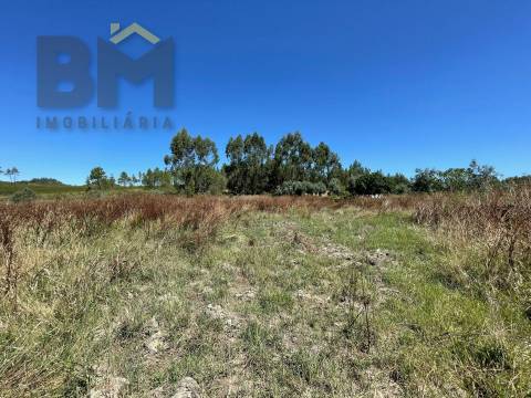 Terreno Rústico  Venda em Freixial e Juncal do Campo,Castelo Branco