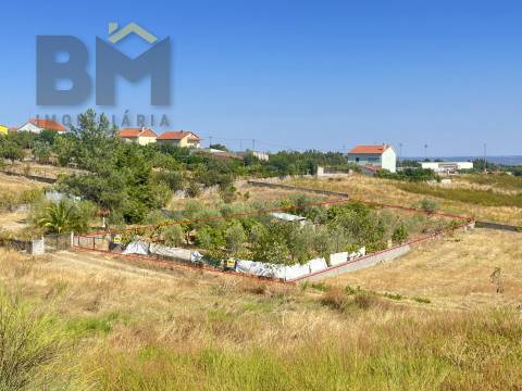 Terreno Urbano  Venda em Castelo Branco,Castelo Branco