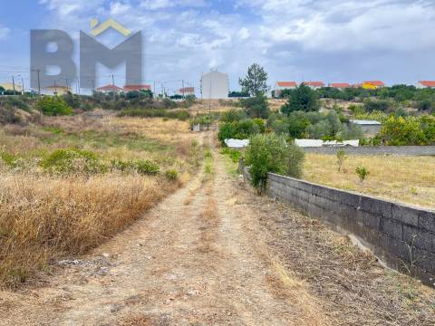 Terreno Urbano  Venda em Castelo Branco,Castelo Branco