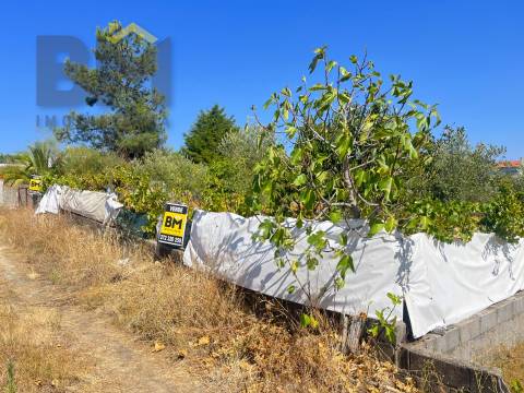 Terreno Urbano  Venda em Castelo Branco,Castelo Branco