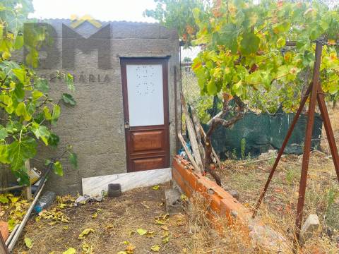 Terreno Urbano  Venda em Castelo Branco,Castelo Branco