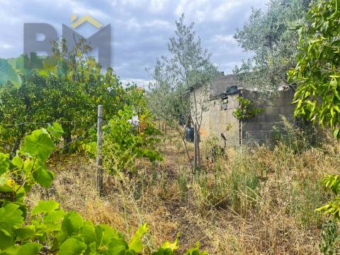 Terreno Urbano  Venda em Castelo Branco,Castelo Branco